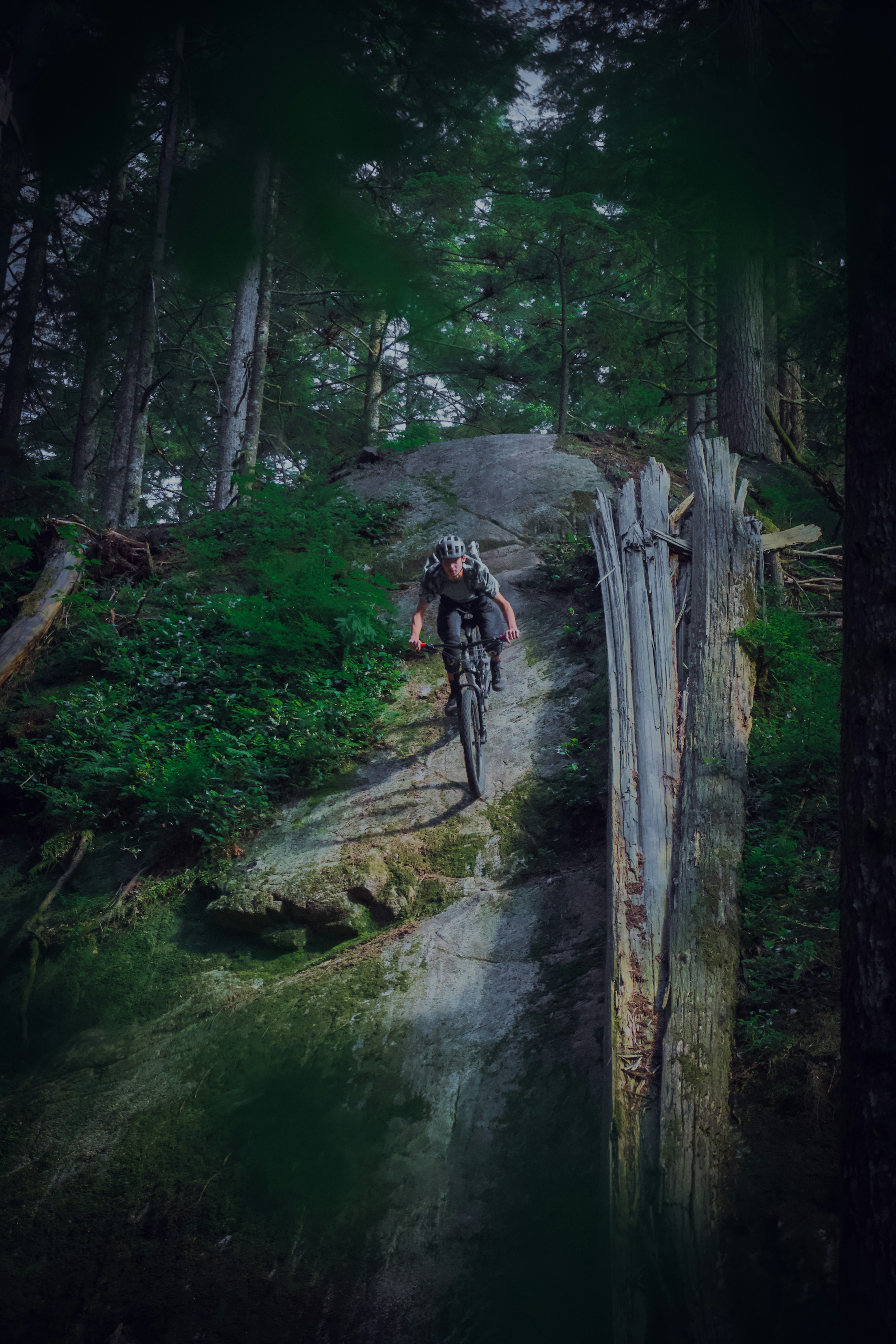 Mountain biking in New Zealand